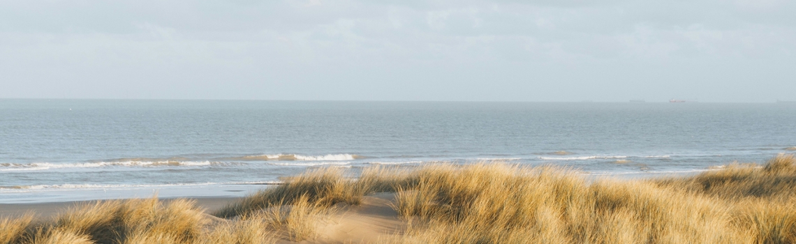 Pensioenregeling Progress wijzigt niet