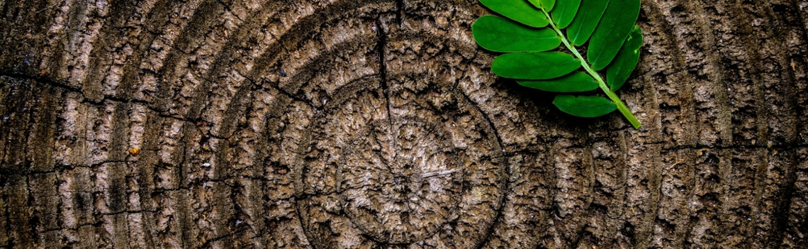 Pensioenverhoging actieve deelnemers